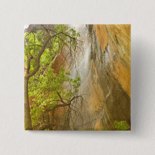 Lower Emerald Pool Waterfall Red rock and Tree 2 Inch Square Button