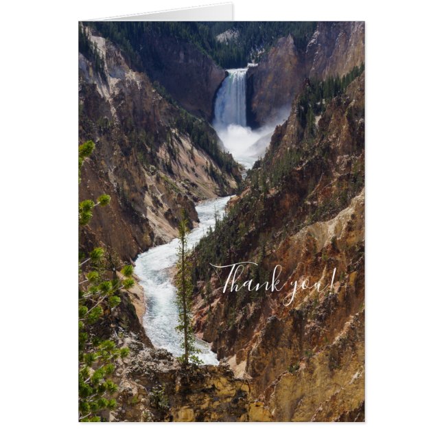 Lower Falls Yellowstone Carte de remerciements (Devant)