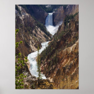 Lower Falls Yellowstone Poster