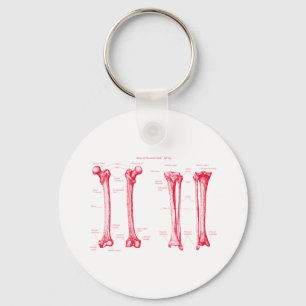 Lower Limb Red Keychain