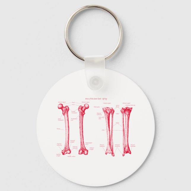 Lower Limb Red Keychain (Front)