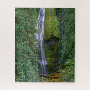 Lower Proxy Falls   Willamette National Forest Jigsaw Puzzle