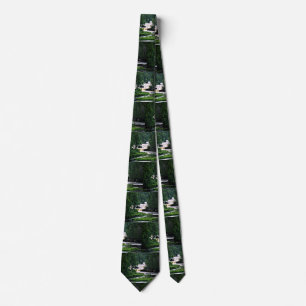 Lower Tahquamenon Falls State Park, Michigan Tie