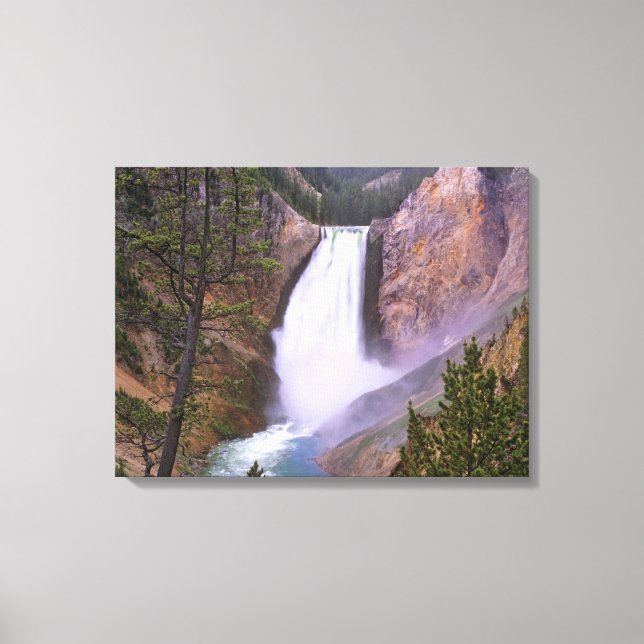 Lower Yellowstone Falls, Grand Canyon of Canvas Print (Front)