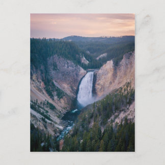Lower Yellowstone Falls Postcard