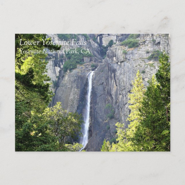 Lower Yosemite Falls, Yosemite National Park, CA P Postcard (Front)