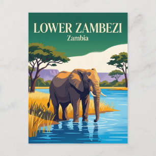 Lower Zambezi National Park Zambia Postcard
