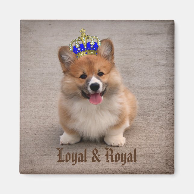 Loyal and Royal Corgi Puppy Magnet (Front)