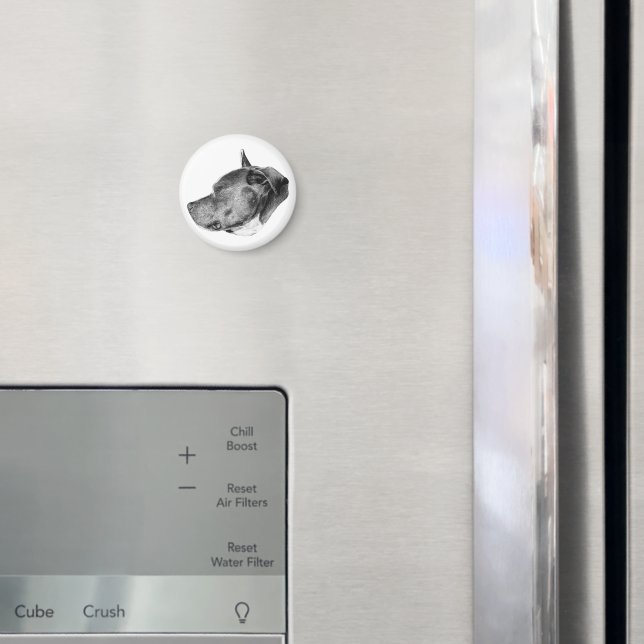 loyal companion stare magnet (In Situ (Fridge))