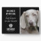 Loyal Dog No Longer By Our Side | Photo Keepsake
