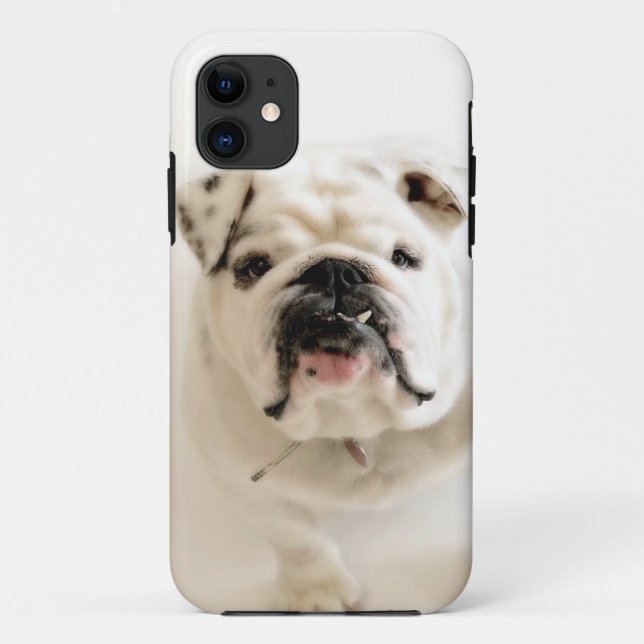 Loyal White Bulldog Photograph Case-Mate iPhone Case (Back)