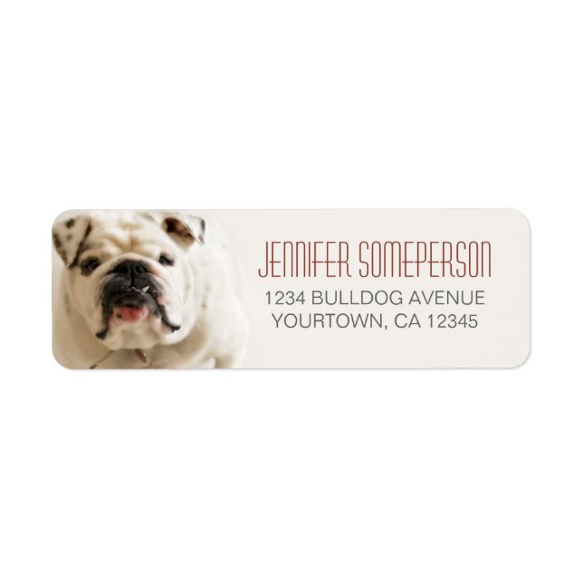 Loyal White Bulldog Retourner les étiquettes d'adr (Devant)