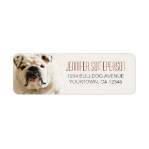 Loyal White Bulldog Return Address Labels