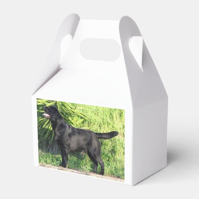 LR black lab full Favor Box (Front Side)