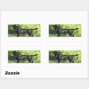 LR black lab full Sticker