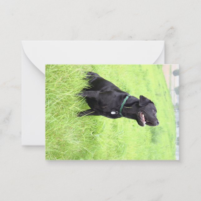 LR black lab sitting Card (Front)
