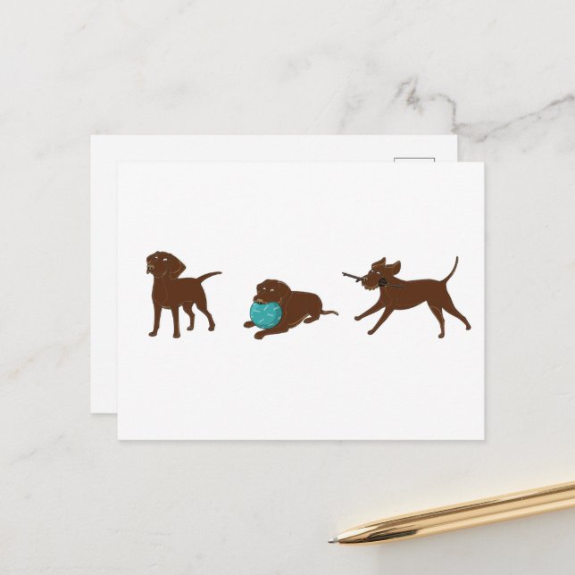 lr chocolate lab cartoon strip postcard (Front/Back In Situ)