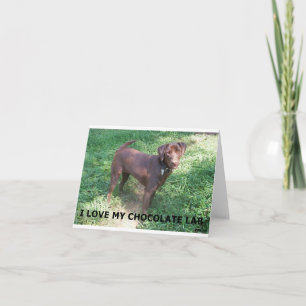 LR chocolate lab love with picture Card
