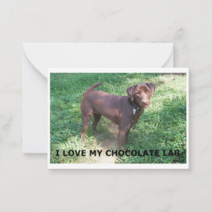 LR chocolate lab love with picture Card