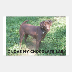 LR chocolate lab love with picture Sticker