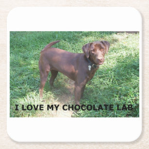 LR chocolate love with picture Square Paper Coaster