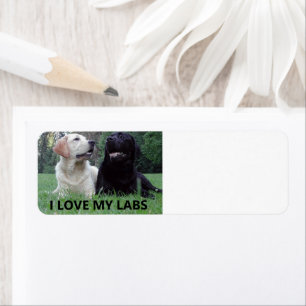 LR I Love My Labs avec photo