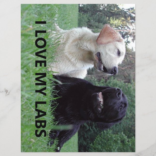 LR I Love My Labs with picture (Front)