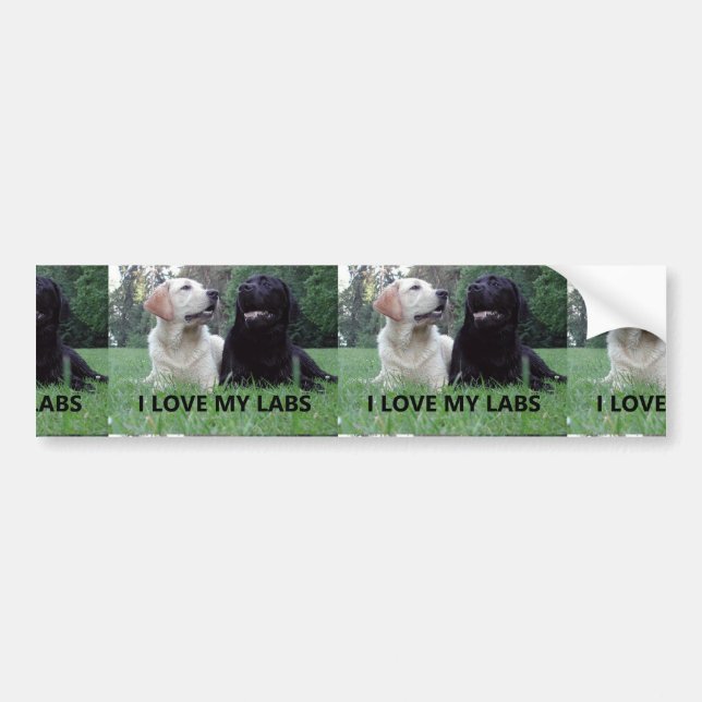LR I Love My Labs with Picture Bumper Sticker (Front)