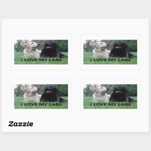 LR I Love My Labs with picture Sticker