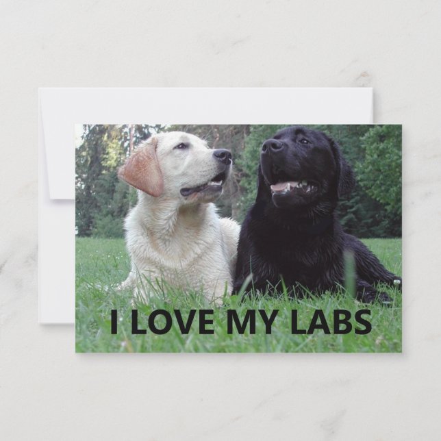 LR I Love My Labs with picture Thank You Card (Back)