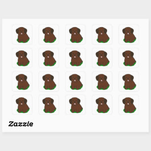 LR kawaii chocolate lab cartoon Square Sticker