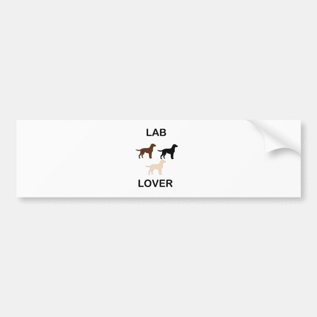 LR lover all colours silhouettes Bumper Sticker (Front)