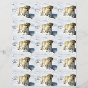 LR yellow lab puppy in snow