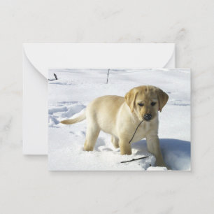 LR yellow lab puppy in snow Card