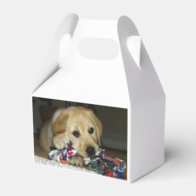 LR yellow lab puppy with toy Favor Box (Front Side)