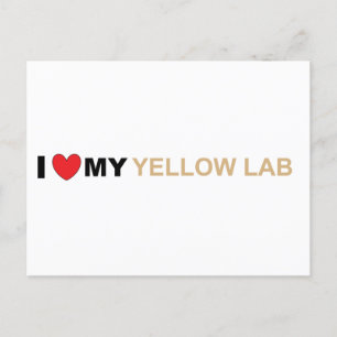 LR yellow love Postcard