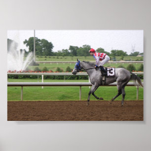 LSP Series (2) Poster