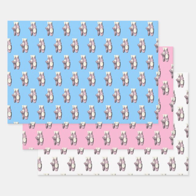 Lt Pink Ballerina Shoes En Pointe FL DIY BG Wrapping Paper Sheet (Set)