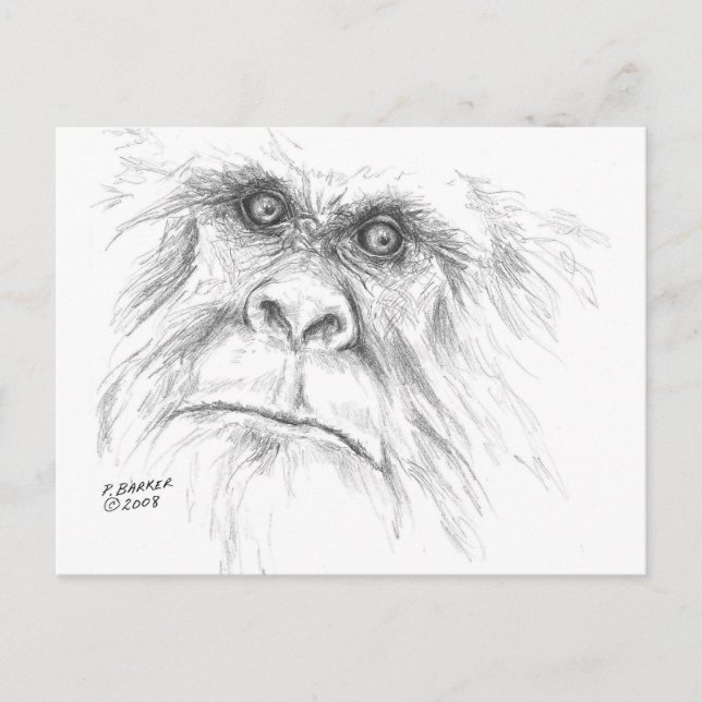 LTB Postcards (Front)