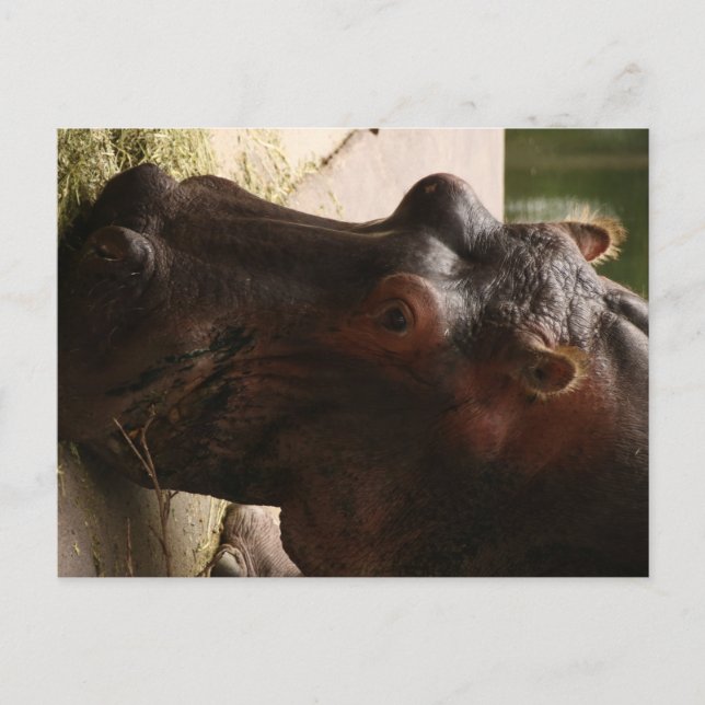 Lu  postcard (Front)