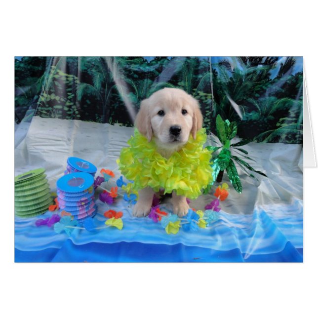 Luau Abby (Front Horizontal)