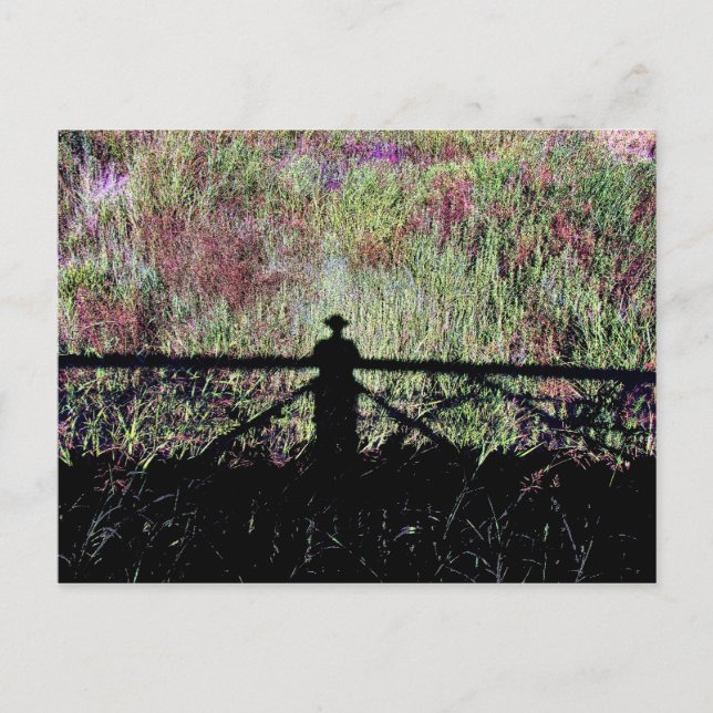 Lubbock Lake Landmark Postcard (Front)