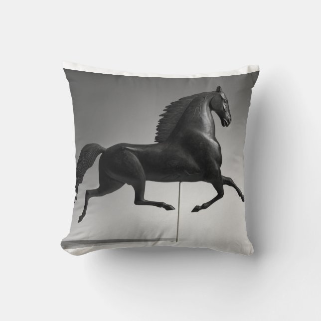 Luce Centre Label Throw Pillow (Front)