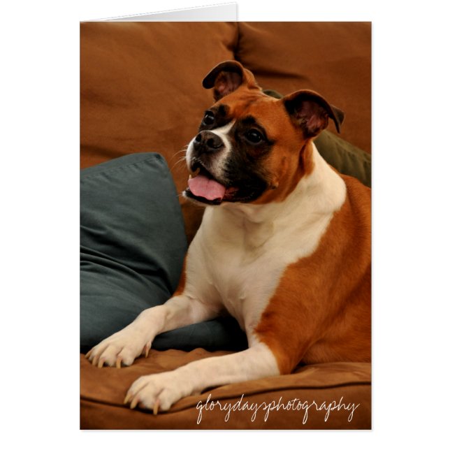 Lucie Monroe (Front)