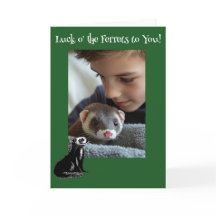 Luck o' the Ferrets Ferret St. Patrick's Day