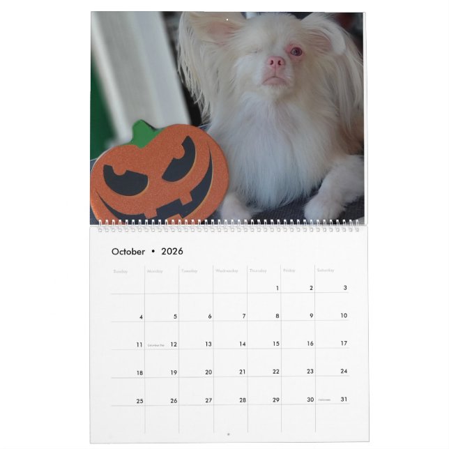 Lucky 2020 Calendar (Oct 2026)
