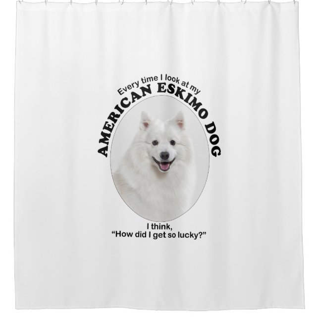 Lucky American Eskimo Dog (Front)