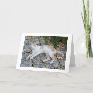Lucky awake holiday card