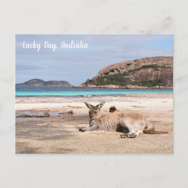 Lucky Bay Beach Kangaroo, Australie Carte postale (Devant)