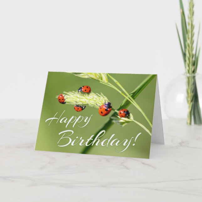 Lucky Birthday with 5 little ladybugs! Card (Front)